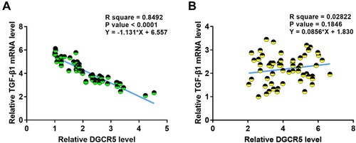 Figure 3 DGCR5 and TGF-β1 were inversely correlated in PC tissues. Linear correlation analysis showed that DGCR5 and TGF-β1 were inversely and significantly correlated across PC tissues (A), but not across adjacent non-cancer tissues (B).
