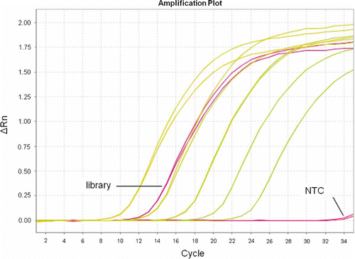 Figure 3. Amplication Plot in qPCR. Twenty different kinds of libraries with good sequencing data were chosen as standards, and the qPCR amplification curves of similar-type test libraries were compared to the standards for quantification. New standards were also compared to former ones, especially among dilutions when the 1-nM point was overlapped to guarantee overall stability of quantification QC.