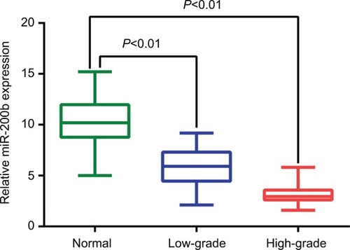 Figure 4 MiR-200b expressions in glioma tissues and non-neoplastic brain tissues were respectively detected by real-time quantitative RT-PCR assay.Abbreviation: miRNA, microRNA.