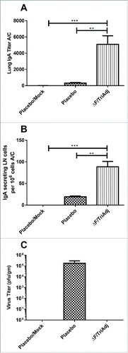 Figure 5. Long-term mucosal immune responses to RSV ΔF protein. IgA titers (A), numbers of IgA secreting LN cells (B) and virus titers (C) were determined after RSV challenge (A/C). Mice were immunized and challenged with RSV as described in the legend for Fig. 4. ELISA titers are expressed as the reciprocal of the highest dilution resulting in a value of two standard deviations above the negative control serum. IgA secreting cell numbers are expressed as the difference in the number of spots between ΔF-stimulated wells and medium-control wells. Virus replication in the lungs is expressed as pfu per gram of lung tissue. Bars represent median values with interquartile ranges. **P < 0.01; ***P < 0.001.