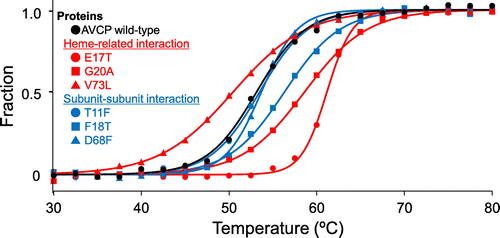 Figure 3. Thermal denaturation curves of the AVCP variants obtained with CD spectra. Representative normalized raw data points are shown at a temperature interval of 2.5 °C. A fitting curve for each data-set is also shown.