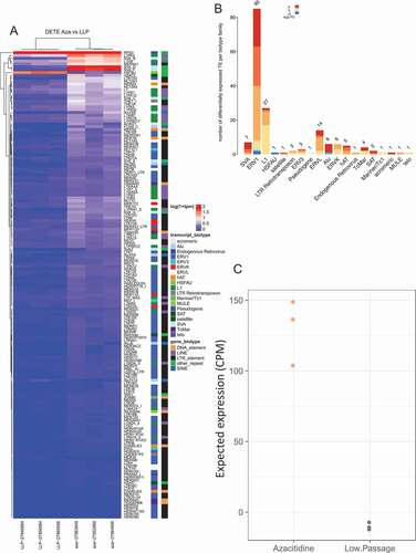 Figure 1. Differential expression of transposable elements following 5-Azacitidine treatment. (a) Differential expression of TE following senescence induced by 5-Azacitidine. The x-axis is the experimental groups, and the y-axis are the significantly dysregulated TE. (b) Differentially expressed TE biotype dysregulation following 5-Azacitidine treatment. The significantly DE TEs biotypes were identified and the modeled expression estimates are summarized for each TE transcript biotype. (c) 5-Azacitidine expected TE expression group summary. The two groups expected expression was determined by compounding the dysregulation coefficients of significantly DE TEs with the observed normalized corresponding DETE expression. The y-axis denotes the expected expression predicted by the linear model constructed in A.