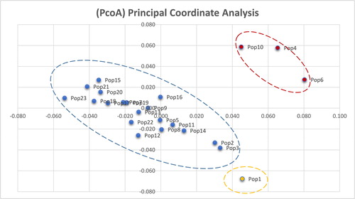 Figure 6. Principal coordinate analysis (PCoA) based on AFLP data. Note: PCoA with Nei’s genetic distance and data processed by GenAlEx 6.5.