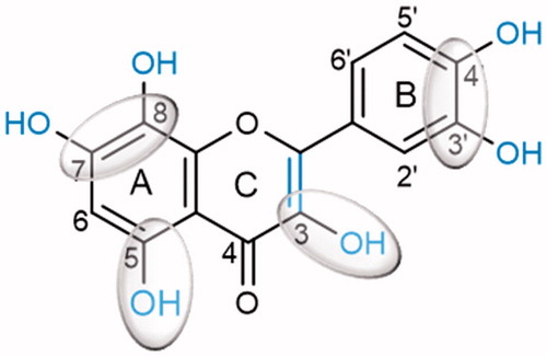 Figure 4. Potential flavonoids ‘substitution pattern that contributes to increase the α-glucosidase inhibition.