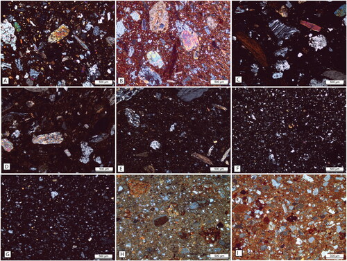 Figure 4. Petrographic groups identified in El Frances. The photos were taken with crossed polarized light. (A) FR6, group 1; (B) FR35 group 1.x; (C) FR13, group 2; (D) FR3, group 2.x; (E) FR12, group 2.y; (F) FR21, group 3; (G) FR29, group 4; (H) FR14, group 5; (I) FR 25, group 6.