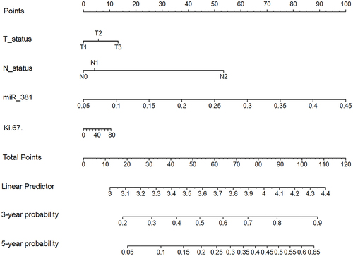 Figure 6 The nomogram of the miR-381+Ki-67+T+N models. The TN, miR-381, and Ki-67 model; For example, one patient was T1N0 with a miR-381 content of 2.9 and a Ki-67 of 40%. The model predicted that the risk of the occurrence of disease progression in three years was approximately 0.56, and the risk of the occurrence of a disease progression event in five years was approximately 0.25.