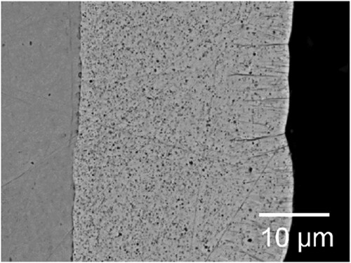 Figure 3. Back-scattered electron SEM images of cobalt-SiC nanocomposite, produced by pulse-reverse plating (PRP) technique (taken with permission from ref. Citation18).