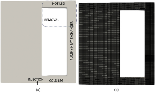 Fig. 3. (a) Geometry and (b) computational mesh employed for 2D simulations.