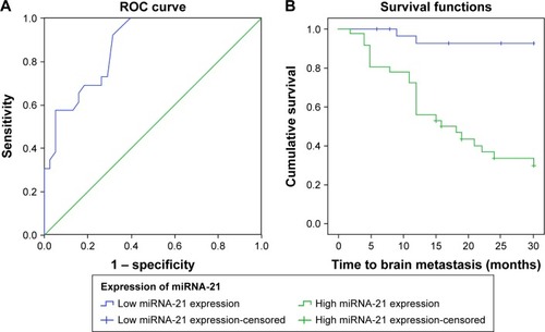 Figure 2 Correlation between the expression of miR-21 and the risk of BM in NSCLC patients. (A) The ROC curve analysis for the miR-21 expression in predicting BM from NSCLC; (B) Kaplan–Meier curve for the occurrence time to BM in NSCLC patients.