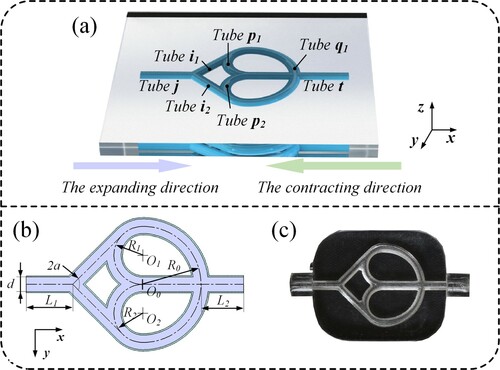 Figure 1. Structure of double-loop tube. (a) Three-dimensional structure; (b) Two-dimensional structure; (c) Physical model of double-loop tube.