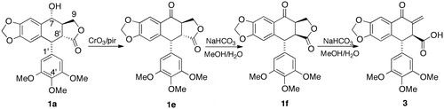 Scheme 1. Preparation of thuriferic acid (3) from podophyllotoxin (1a).