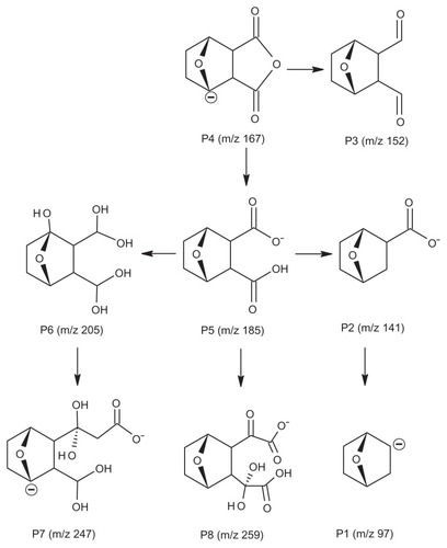 Figure 8 Structures of the main metabolites and their possible transformation in rats.