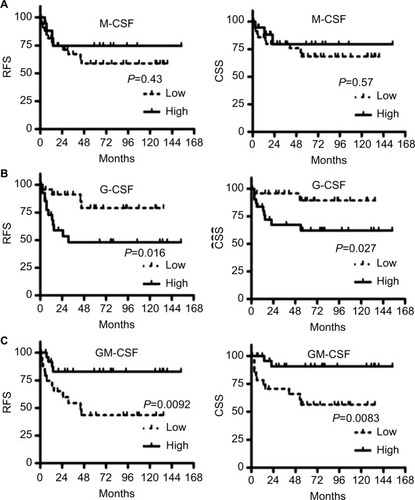 Figure 3 (A) M-CSF expression in bladder cancer cells is not associated with the probability of recurrence or cancer-specific mortality. (B) G-CSF expression (high vs low) is associated with the probability of recurrence and cancer-specific mortality. (C) GM-CSF expression (low vs high) is also associated with the probability of recurrence and cancer-specific mortality.