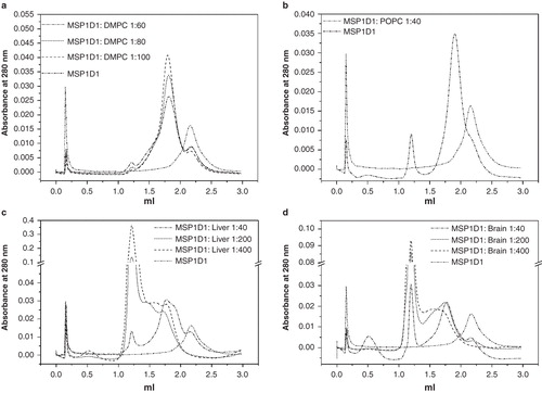 Figure 7. Nanodisc assembly investigated by gel filtration. Different MSP1D1:lipid ratios were tested for nanodisc assembly and analyzed via size exclusion chromatography (Superdex 200 column, GE Healthcare, Freiburg, Germany). MSPs were detected via absorbance at 280 nm. (a) MSP1D1:DMPC; (b) MSP1D1:POPC; (c) MSP1D1:liver; (d) MSP1D1:brain.