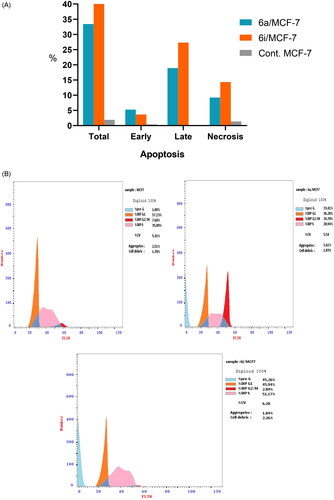 Figure 10. (A) Percentage of apoptosis and necrosis for 6a and 6i hybrids in MCF-7 cell line. (B) Flow cytometric analysis of Annexin V-FITC/PI induced by 6a and 6i hybrids in MCF-7 cell line.
