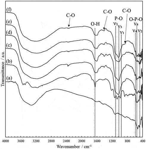 Figure 4. FT-IR spectra of ZnO single crystal particles (a) and composite particles prepared using (b) ZnO/APTES(n = 0), (c) ZnO/APTES(n = 0.5), (d) ZnO/APTES(n = 1.0), (e) ZnO/APTES(n = 3.0), (f) ZnO/APTES(n = 5.0) at reaction time 48 h.