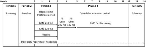 Figure 1. Study diagram. Note: the GMB 120 mg dose group depicted in Period 3 had a 240-mg loading dose. Abbreviations: GMB galcanezumab.