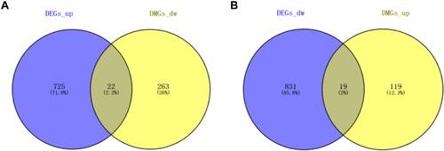Figure 3 Identification of DNA methylation-regulated genes in HB. (A) hypomethylated and upregulated genes in HB samples compared with normal liver samples. (B) hypermethylated and downregulated genes in HB samples compared with normal samples.
