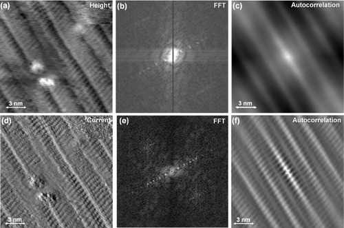 Figure 4 STM images of a 1D reconstruction pattern formed on a graphite(0001) terrace on a 0.3% C-doped Ni(111) substrate, measured with a tungsten tip (Vs=−1.5 V, It=1.1 nA). (a) An STM height image and (d) an STM current image; (b) and (e) are the FFT images of (a) and (d), respectively; (c) and (f) are the autocorrelation images of (a) and (d), respectively.