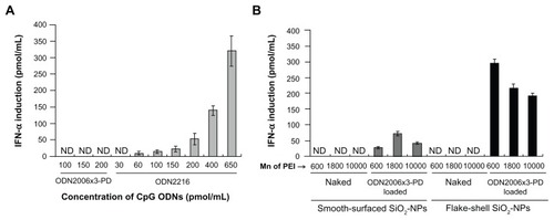 Figure 5 IFN-α induction by CpG ODNs in peripheral blood mononuclear cells. (A) IFN-α induction by free CpG ODN2006×3-PD and CpG ODN2216. Free class A CpG ODN2216 induced IFN-α in a dose-dependent manner, but free CpG ODN2006×3-PD did not induce IFN-α. (B) IFN-α induction by CpG ODN2006×3-PD loaded on SiO2 nanoparticles. Naked smooth-surfaced and flake-shell SiO2 nanoparticles did not induce IFN-α, but CpG ODN2006×3-PD loaded on smooth-surfaced and flake-shell SiO2 nanoparticles coated with PEI induced IFN-α. The SiO2 nanoparticles loaded with CpG ODN2006×3-PD were applied to peripheral blood mononuclear cells at a concentration of 50 μg/mL. The concentrations of CpG ODN2006×3-PD on smooth-surfaced SiO2 nanoparticles coated with PEI of Mns 600, 1800, and 10,000 were estimated to be 33, 62, and 98 pmol/mL medium, respectively, from the loading capacities. Similarly, the concentrations of CpG ODN2006×3-PD on flake-shell SiO2 nanoparticles coated with PEI of Mns 600, 1800, and 10,000 were estimated to be 196, 364, and 650 pmol/mL medium, respectively.Abbreviations: PEI, polyethyleneimine, NPs, nanoparticles; Mn, number-average molecular weight; ODN, oligodeoxynucleotides; IFN-α, interferon alpha.