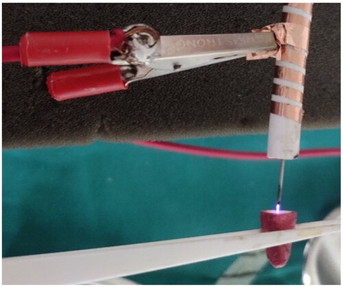 Figure 2. Generation of CAP Plasma jet plume and exposure in the test sample.