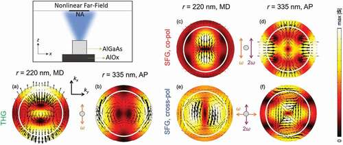 Figure 6. Simulated back-focal-plane images. The top left panel reports a sketch of the nonlinear emission coming from the pillar which is calculated in the far-field approximation over a finite numerical aperture, NA. The bottom left panel reports the BFP related to the THG (a) at the magnetic dipole (MD) resonance and (b) at the anapole condition (AP). The white circle indicates a numerical aperture of 0.85, equal to the experimental one. The right panels are related to the SFG: (c) reports the BFP for co-polarized beams at the MD resonance while (d) the BFP at the AP condition. (e) and (f): same as (c), (d) but for the case of cross-polarized beams. The polarization of the pumps is indicated by the arrows in the middle of each image row. The black arrows indicate the electric fields ETHG and ESFG, respectively. The magnitude of the Poynting vectors STHG and SSFG is displayed in false colors.