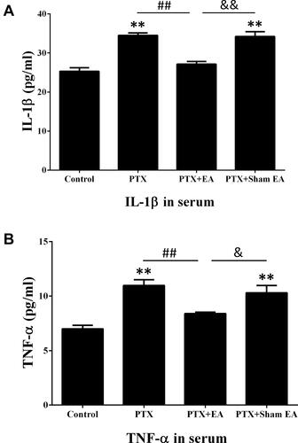 Figure 7 Effect of EA treatment on PTX-induced production of (A) IL-1β and (B) TNF-α in serum by ELISA. **P<0.01 compared with Control; ##P<0.01 compared with PTX; &P<0.05, &&P<0.01 compared with PTX + sham EA. Data are presented as mean ± SEM (n≥7).Abbreviations: PTX, paclitaxel; EA, electroacupuncture.