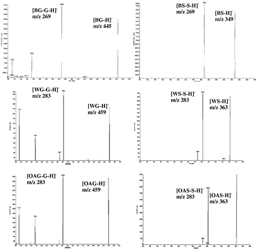 Figure 2. Representative mass spectra of glucuronic acid and sulfate conjugates of B/W/OA in Caco-2 samples from apical to basolateral transport study. BG (445/269): Baicalein-7-O-glucuronide; BS (349/269): Baicalein-O-sulfate; WG (459/283): Wogonin-7-O-glucuronide; WS (363/283): Wogonin-O-sulfate; OAG (459/283): Oroxylin A-7-O-glucuronide; OAS (363/283): Oroxylin A-O-sulfate.