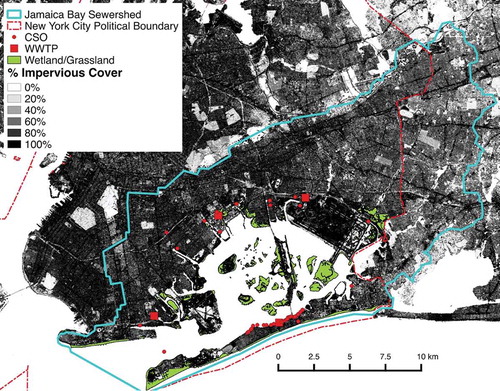 Figure 5. Map of the Jamaica Bay Watershed, which includes locations of Waste Water Treatment Plant (WWTP) Facilities and CSOs. Vegetation coverage is modified from the Ecological Covertype Map, Version 2, developed by the Natural Areas Conservancy (O'Neill-Dunne et al. Citation2014). The vegetation layer is only available for New York City. Impervious cover data is from the 2011 National Land Cover Database (Homer et al. Citation2012).