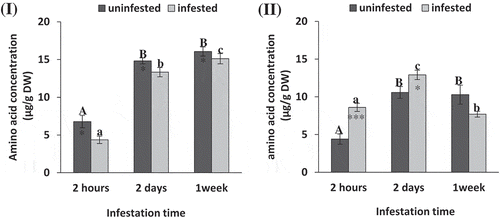 Figure 4. Free amino acid concentration (μg/g DW) of tomato (i) and maize (II) as affected by Spodoptera exigua larvae infestation after different periods of time. Each point is a mean of three replicates ± standard error. The different letters represent the statistical significance between different time periods of uninfested (a–c) and infested (a–c) plants at P ≤ 0.05. Asterisks show significant differences between uninfested and infested plants at each time period (*p < .05; **p < .01; ***p < .001).