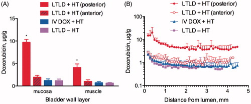 Figure 5. (A) DOX concentration in the mucosa and muscle layers from samples of the bladder wall. “*” indicates significant differences compared to unmarked groups within the same bladder wall layer (p < 0.05). (B) DOX concentration measured in parallel sections of the bladder wall as a function of distance from the luminal surface. Error bars represent standard deviation of the mean. DOX concentrations in samples taken from the posterior and anterior aspects of the bladder are only displayed for the LTLD + HT group since regional differences between samples in the other groups were insignificant.