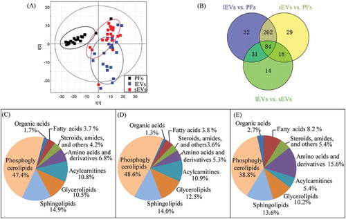 Figure 2. Characterization of metabolic profiles from samples of lEVs, sEVs, and pleural effusions (PFs).