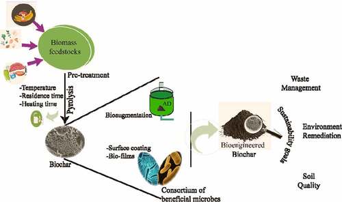 Figure 1. Bioengineering methods of biochar and sustainability goals