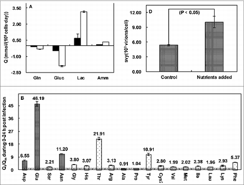 Figure 3. Specific metabolism rates (Q) of glutamine, glucose, lactate acid and ammonia and Qi/Qm of amino acids except glutamine. (□) mock; (▪) infected; (Display full size) generation; (Display full size) consumption. Adapted from Huang et al.Citation26