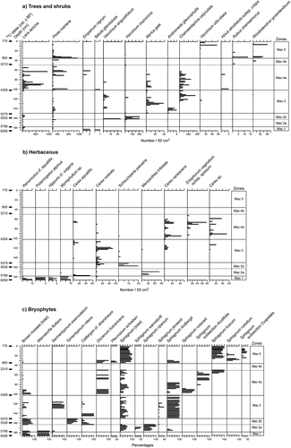 Figure 4. Macrofossil diagram of the studied palsa. (a) tree and shrub macrofossil diagram of the palsa (number of macrofossils per 50 cm3); (b) herbaceous macrofossil diagram of the palsa (number of macrofossils per 50 cm3); (c) brown mosses and Sphagnum macrofossil diagram of the palsa (macrofossil percentages)