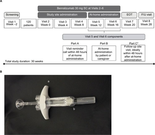 Figure 1 GREGALE study design (A) and accessorized pre-filled syringe (B).