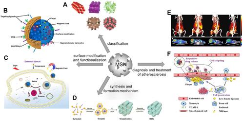 Figure 1 Schematic illustration of the classification (A), surface modification and functionalization (B and C), synthesis and formation mechanism (D), and application of mesoporous silica nanomaterials (E and F) in this review.
