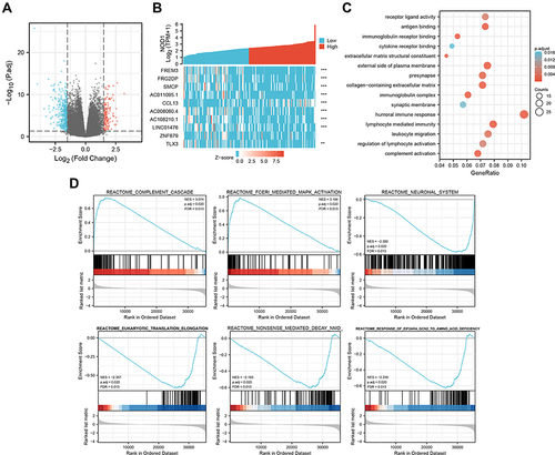 Figure 4 Identification and enrichment analysis of DEG. (A) DEG volcano map. (B) Heat map showing the top 10 DEGs. (C) Bubble map showing NOD1-GO results of DEG in low and high expression samples. (D) GSEA analysis of DEGs between low and high expression groups of NOD1.