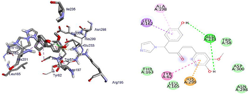 Figure 11 3D (right) and 2D (left) representations of the binding interactions of 8 against Human peroxiredoxin 5 (PDB ID: 1hd2).