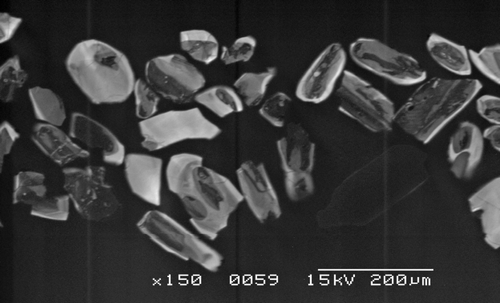 Figure 4 Cathodoluminescence image of zircon from hornblende granulite in Cues Formation, Broken Hill Synform, sample 200218.5815. Variably luminescent cores are overgrown and partly replaced by bright (light grey to white), low-U metamorphic rims.