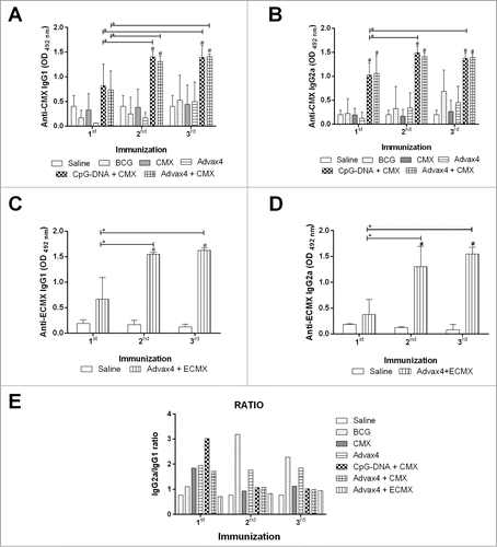 Figure 3. Humoral Immune Response to CMX. Animals were bled 30 days after the first, second and third vaccinations. Antibody levels were measured after sera separation. (A) IgG1 levels induced by CpG-DNA + CMX, Advax4 + CMX and controls. (B) IgG2a levels induced by CpG-DNA + CMX, Advax4 + CMX and controls. (C) IgG1 levels induced by Advax4 + ECMX. (D) IgG2a levels induced by Advax4 + ECMX. (E) IgG2a/IgG1 ratio of all vaccine formulations. All vaccines induced high antibody levels since 30 days after the first vaccination. The results shown are representative of two independent experiments (N = 6; *, # p < 0.05). * Statistical difference between the analyzed group and the same group after the first vaccination. # Statistical difference with the saline group.