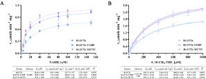 Figure 4 Enzymatic kinetics studies of Rv2172c, Rv2172c T120P, and Rv2172c M172 V. (A) Michaelis–Menten plots of proteins for NADH. Embedded table shows kinetic constants. (B) Michaelis–Menten plots of proteins for 5, 10-CH2-THF. Embedded table shows kinetic constants. The means ± standard deviations (SDs) were determined from two independent replicates.