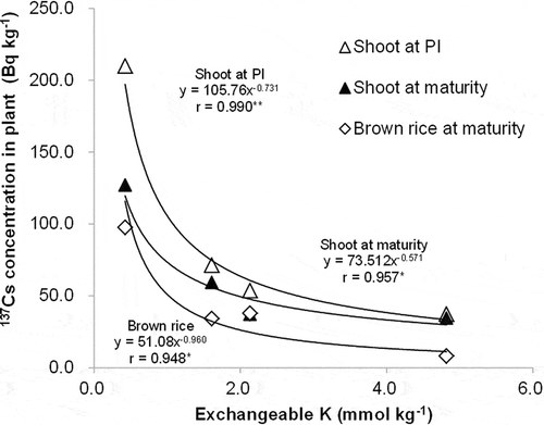 Figure 3 Relationship of cesium-137 (137Cs) concentration in shoots and brown rice with soil exchangeable potassium (K) in pot experiment (** and * indicate P < 0.01 and 0.05, respectively). Notes: PI - Panicle initiation stage.