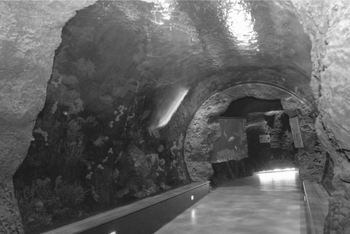 Figure 1 Coral Tunnel.
