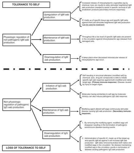 Figure 3 Downregulation/upregulation of nonpathogenic and pathogenic autoimmune processes.