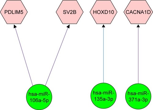 Figure 4 Regulation network between the identified common DEGs and reported miRNAs.