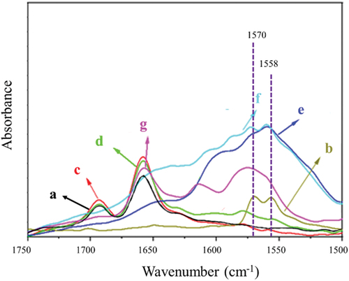 Figure 3. ATR-FTIR spectra of different compounds. (a) CR, (b) DPD, (c) C-D1, (d) C-D2, (e) C-D3, (f) C-D4, (g) C-D5.