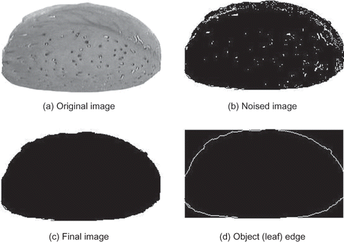 Figure 3 Whole stages of image segmentation of each almond.