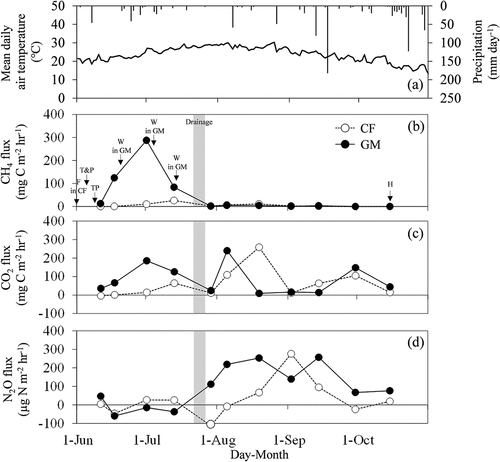 Figure 1. Seasonal variation in mean daily air temperature and precipitation (a), CH4 (b), CO2 (c), and N2O (d) fluxes in chemical fertilizer (CF) and green manure (GM) applied treatments in 2017. F, T, P, TP, W, and H represents chemical fertilizer application, tillage, puddling, transplanting, weeding, and harvest, respectively