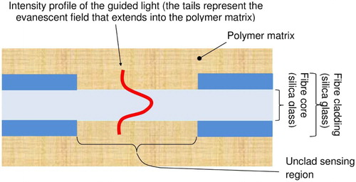 3 Principle of operation of evanescent wave optical fibre sensor embedded in structure to be monitored